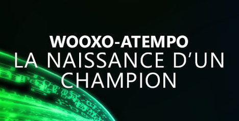 DDA & Company represented Atempo, an archiving and data protection solutions provider, on its sale to Wooxo