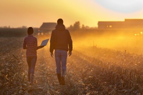 DDA conseille Atekka, la néo assurance des filières agricoles dans la réorganisation de son capital et sa levée de fonds