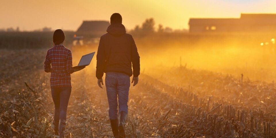 DDA conseille Atekka, la néo assurance des filières agricoles dans la réorganisation de son capital et sa levée de fonds